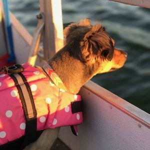 Meet your Posher, Kevin-sandra